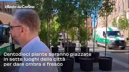 Gli alberi anti caldo sono arrivati a Bologna: il video