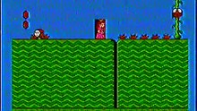 Super Mario Bros 2  48
