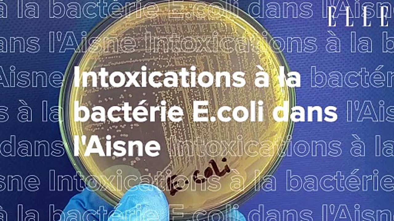 Intoxications à la bactérie E.coli dans l'Aisne : une famille intente une action en responsabilité contre l'État