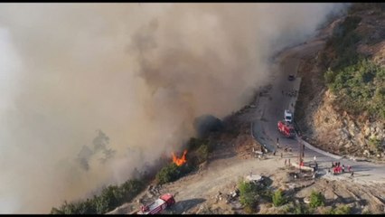 Incendi in Siria, emergenza a Latakia: i roghi alimentati dal vento