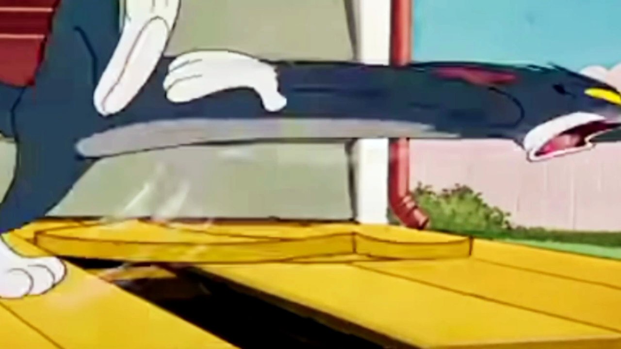 Tom and Jerry cartoon