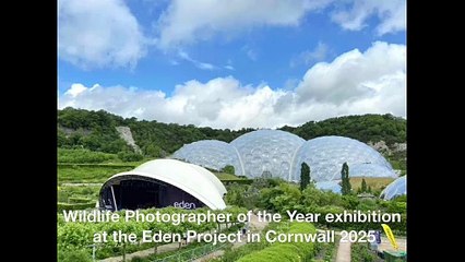 Wildlife Photographer of the Year exhibition at the Eden Project in Cornwall 2025