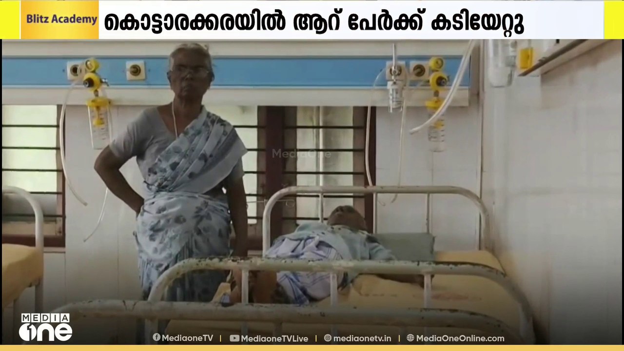 കൊല്ലം കൊട്ടാരക്കരയിൽ തെരുവുനായ ആക്രമണത്തിൽ ആറു...
