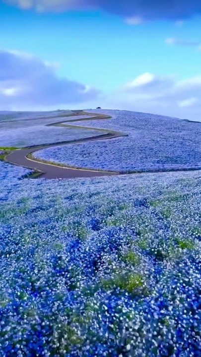 Places In JAPAN That Don’t Feel Real!