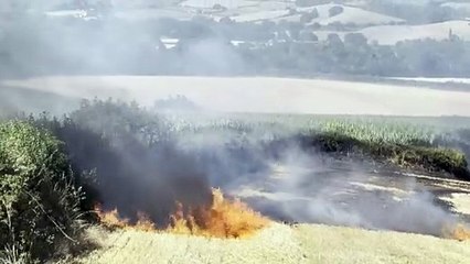 Farm staff and firefighters trying to out the Crediton field fire, video Alan Quick IMG_6578