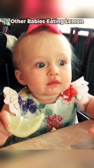 Other Babies Reaction on Lemon VS Last Baby #babies #lemon #baby