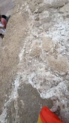 Essaouira festival Kingdom of Morocco