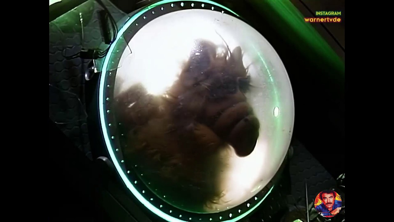 ALF Staffel 1 Folge 1 'Hallo, da bin ich' Deutsch HD