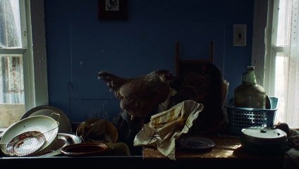 The Human Hibernation (2024)