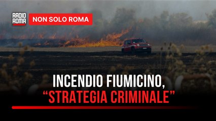 Incendio doloso a Fiumicino, accertato l’innesco: “Una strategia criminale”