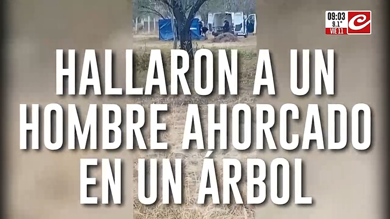 Hallaron un hombre colgado en un árbol: tenía golpes y estaba con las manos atadas