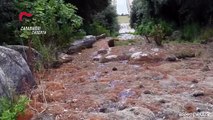 Reggia Caserta, danneggia vasca borbonica per rubare acqua