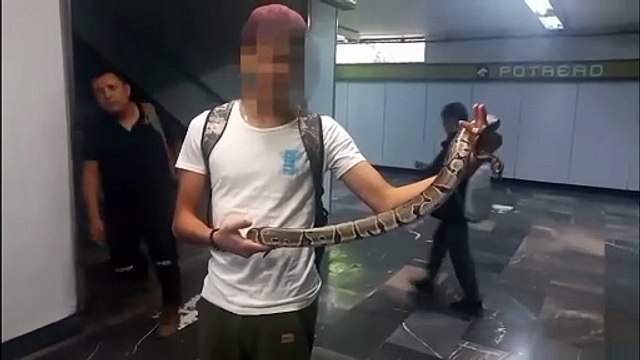 ¿Era una pitón venenosa? Un joven intentó ingresar con una serpiente al metro (Video)