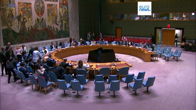 UN Palestine investigator Albanese slams US sanctions on her as 'a sign of guilt'