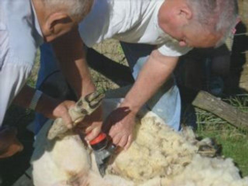 Nenette-se-fait-belle