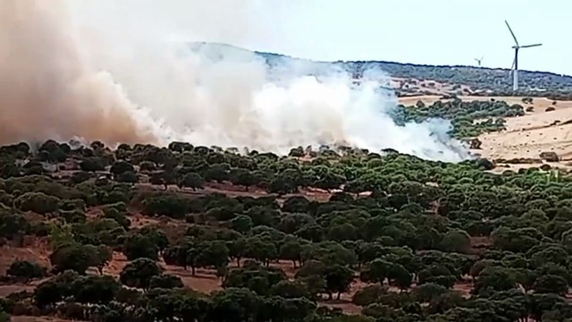 Enorme rogo nelle campagne di Sedini, in azione gli elicotteri