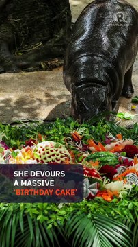 Thailand’s hippo Moo Deng draws crowds at first birthday bash