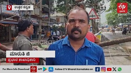 ತೆರವಿನ ವೇಳೆ ಬುಡಸಹಿತ ಕಿತ್ತು ಬಿದ್ದ ತೆಂಗಿನ ಮರ; ಕಾರ್ಮಿಕನ ಜೀವ ಉಳಿಸಿದ ವಿದ್ಯುತ್ ಲೈನ್​​​ಗಳು