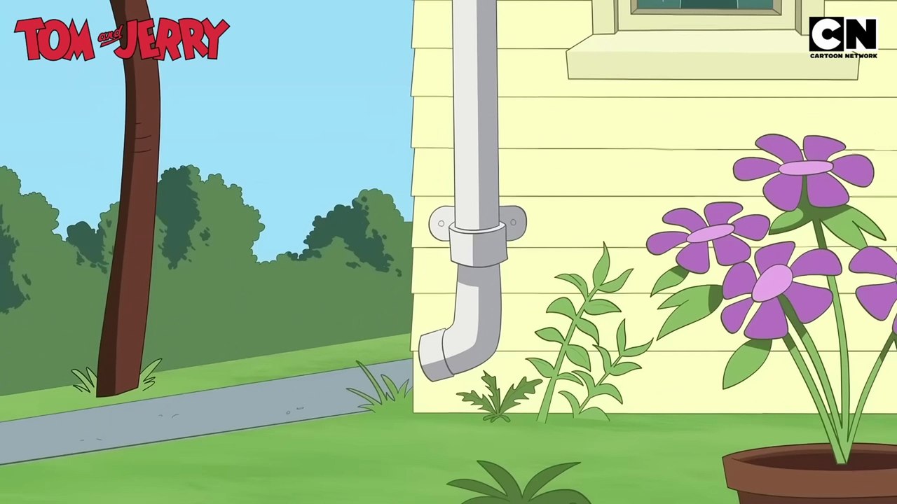 Tom and jerry Part 21