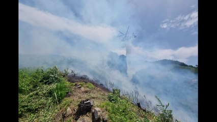 전북 장수군 야산서 불..."담뱃불 원인 추정" / YTN