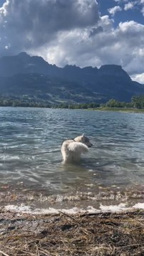 On veut être serein nouuus 🤌🐻‍❄️💛