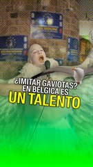 ¿Imitar gaviotas? En Bélgica es un talento