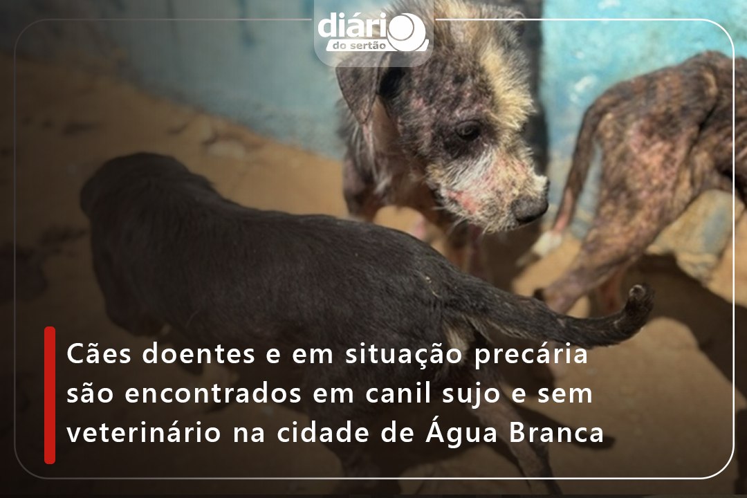 Cães doentes e em situação precária são encontrados em canil sujo e sem veterinário em Água Branca