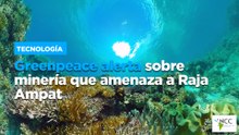 Greenpeace alerta sobre minería que amenaza a Raja Ampat
