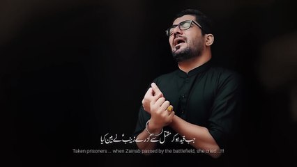 Maawan Karbala Diyan Maawan _ Mir Hasan Mir Nohay 2020  _ New Nohay 2020 _ Muharram 2020 _ Noha 2020