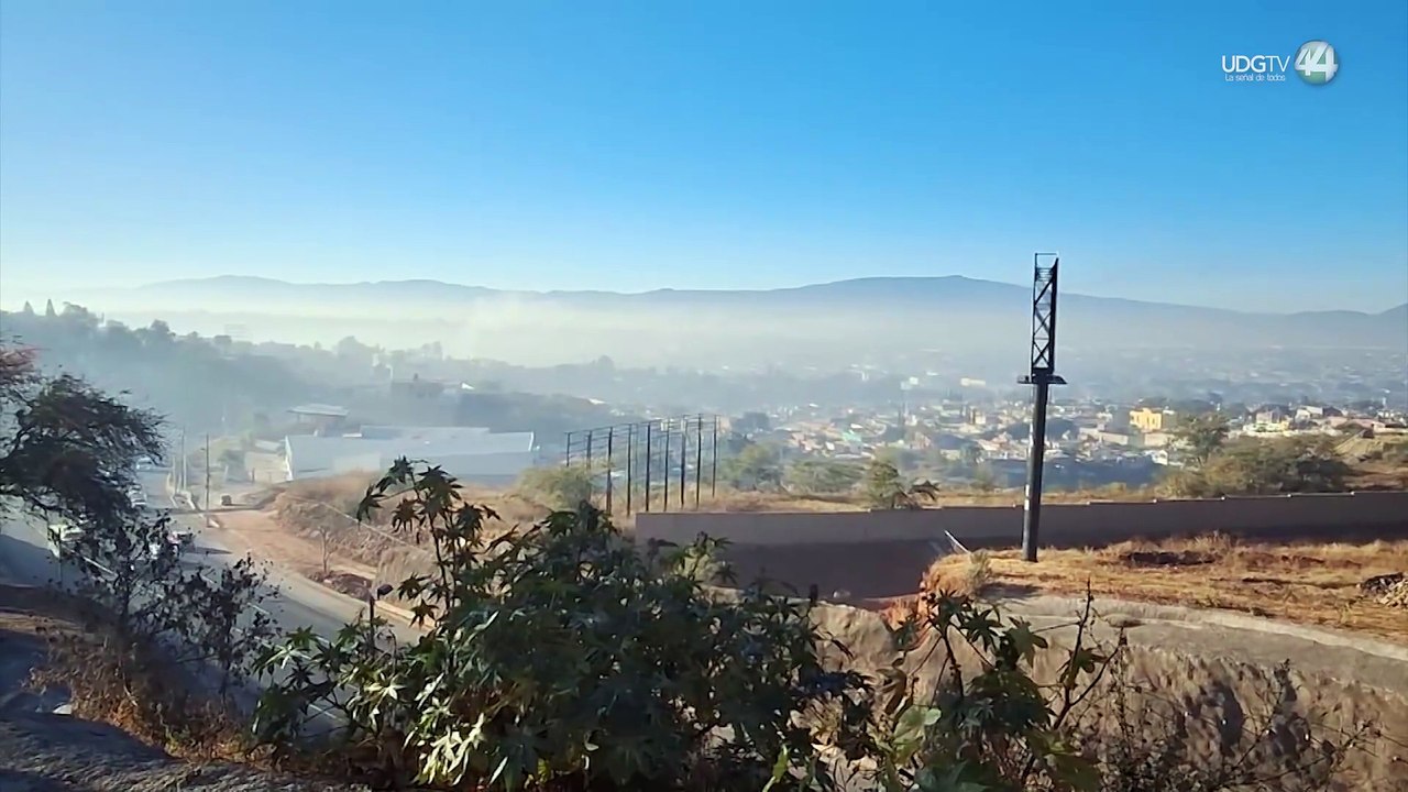 La verificación no limpia el aire, es para controlar emisiones contaminantes