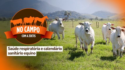 No Campo com a Zoetis: saúde respiratória e calendário sanitário equino