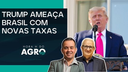 Café e suco de laranja podem ter prejuízo financeiro com taxação dos EUA | HORA H DO AGRO