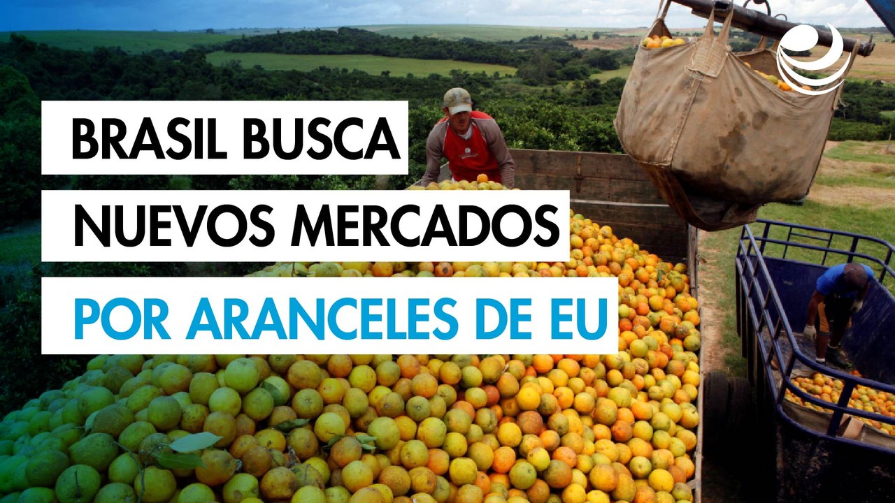 Brasil busca nuevos mercados tras arancel del 50% de Estados Unidos a sus alimentos