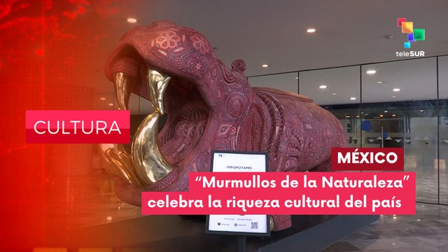 Exposición Murmullos de la naturaleza CULTURA EDICIÓN CENTRAL 11-07-2025