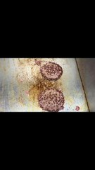 Double hamburger with bacon #BR3 #burger #burgers #burgerlover #eating