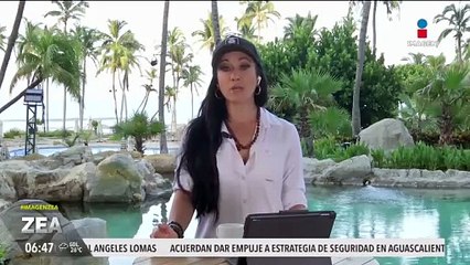 La Unesco pide a México ampliar la Reserva de la Mariposa Monarca