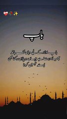 InShot_20250608_131824262