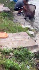 Pond Fishing Adventures - 156