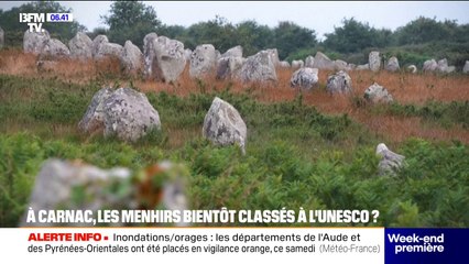Les menhirs de Carnac pourraient intégrer le patrimoine mondial de l'Unesco