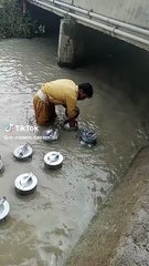 Khalis doodh