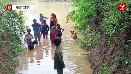 पन्ना में बहते नाले से होकर स्कूल जा रहे बच्चे, लोगों को सालों से पुल बनने का इंतजार