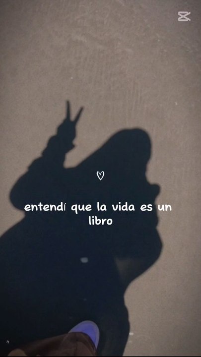 La vida es un libro