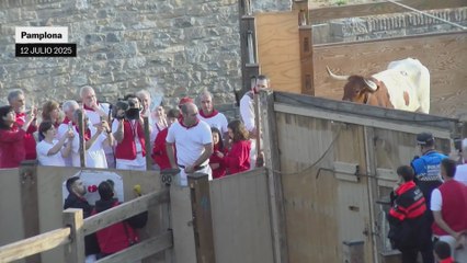 Los temidos toros de José Escolar protagonizan un encierro rápido y limpio