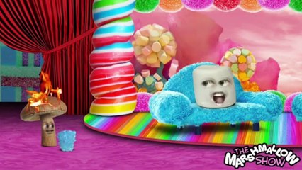 Sam XD Final Shutdown