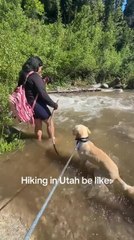 Woman Tries to Wet Her Hair but Falls Completely Into Water