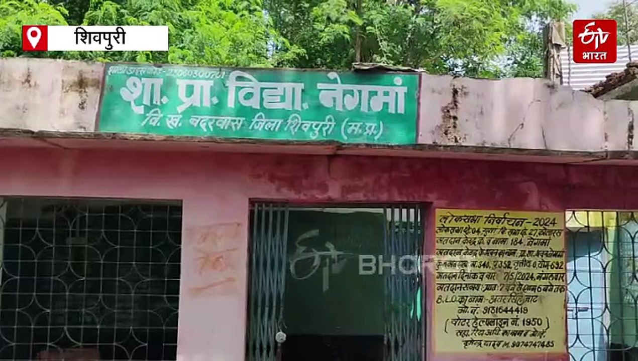 शिवपुरी में गजब हाल, मंदिर में चल रहा स्कूल, शिक्षा भवन में आराम फरमा रही गाय भैंस