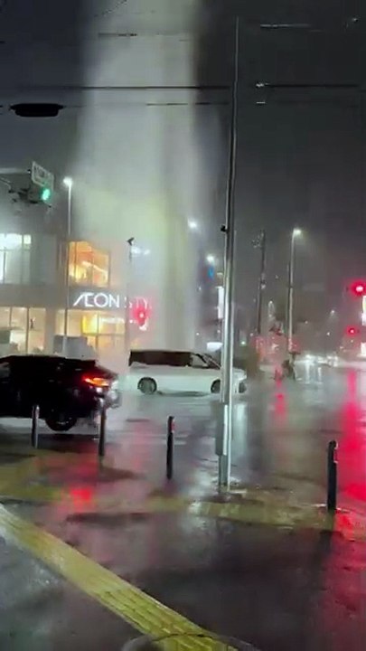 Japon : des pluies torrentielles et des inondations à Tokyo