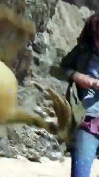 Best Fantasy _ Adventure Movies In Hindi _ Best Magical Fantasy Movies In Hindi Dubbed 2025