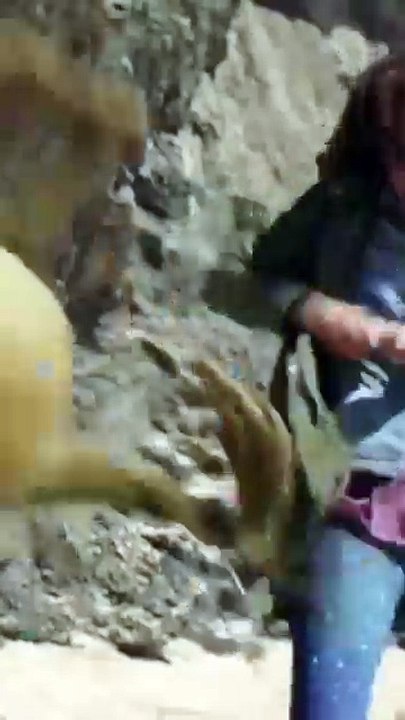 Best Fantasy _ Adventure Movies In Hindi _ Best Magical Fantasy Movies In Hindi Dubbed 2025