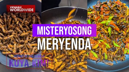 Insektong 'ararawan', ginagawang pagkain?! | Dami Mong Alam, Kuya Kim!